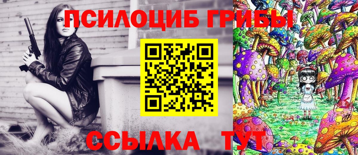 Псилоцибиновые грибы Magic Shrooms Тара